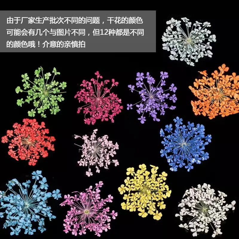 返潮复古干花彩色指甲12色指甲饰品长条钻盒装满天星蕾丝贴花