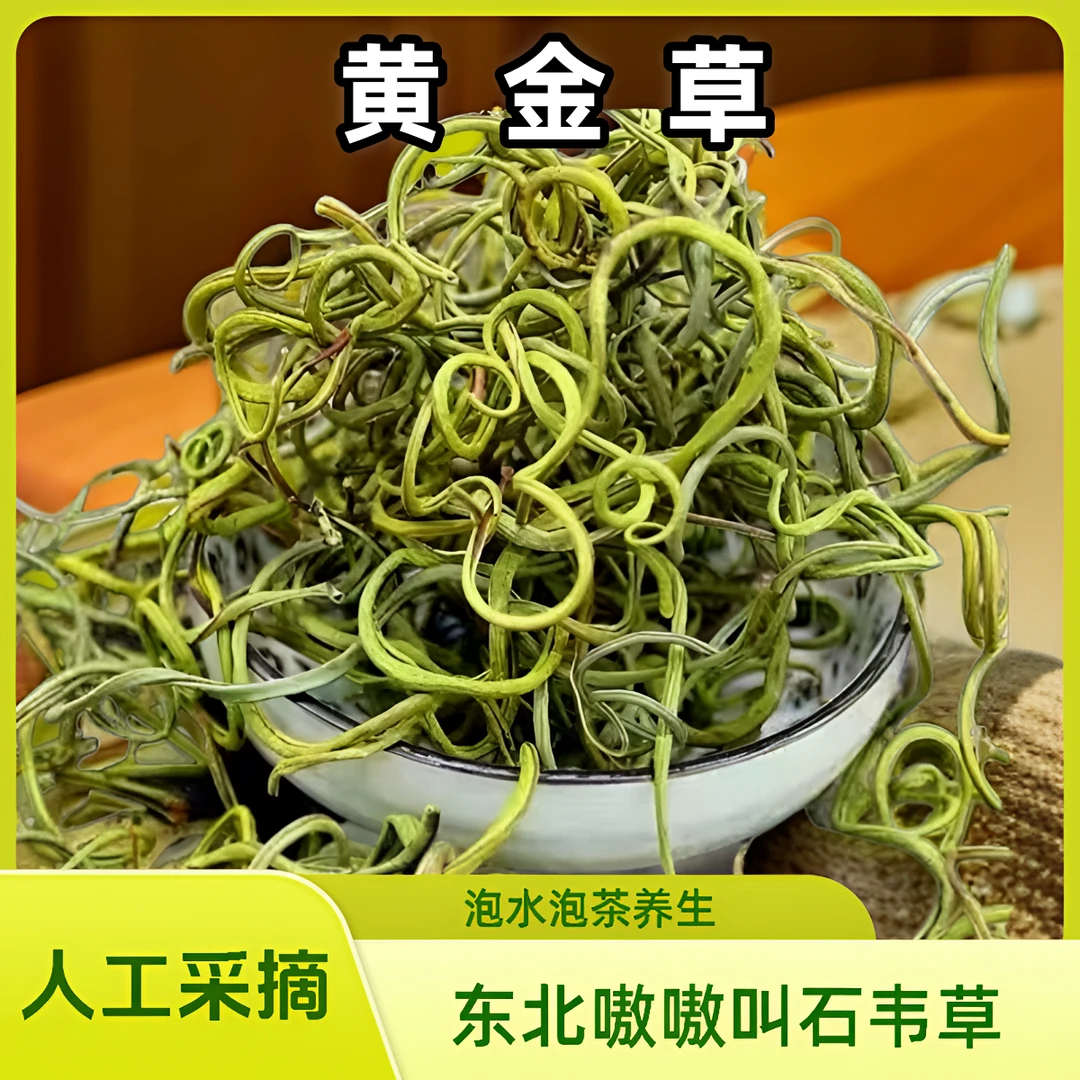 黄金草】人工采摘东北嗷嗷叫石韦草去石碎石草泡水茶养生飞益母草