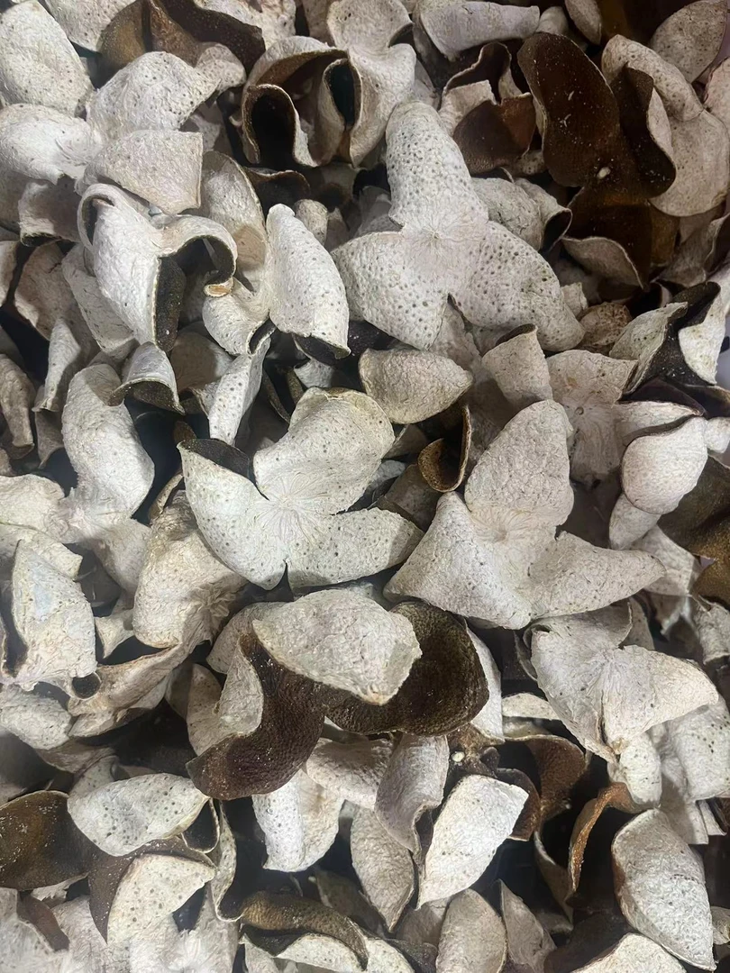 特惠【尚好陈皮】12年东甲圈枝三花青皮回甘口感广东特产断皮福利