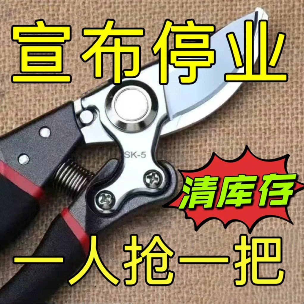 修枝剪树剪橘子果树剪强力果树家用葡萄修剪专用花木修剪树枝剪刀