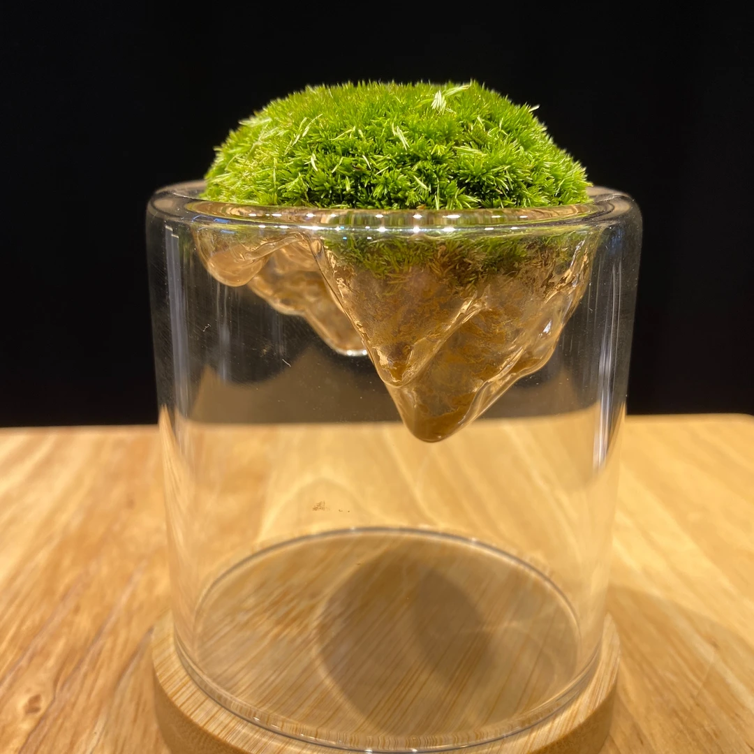 创意苔藓桌面景观悬浮微景观