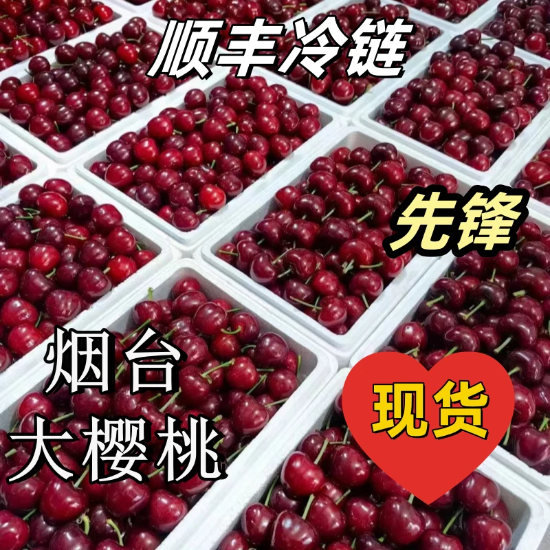 5斤【先锋大樱桃】酸甜脆口烟台大樱桃新鲜孕妇水果皮薄肉厚多汁