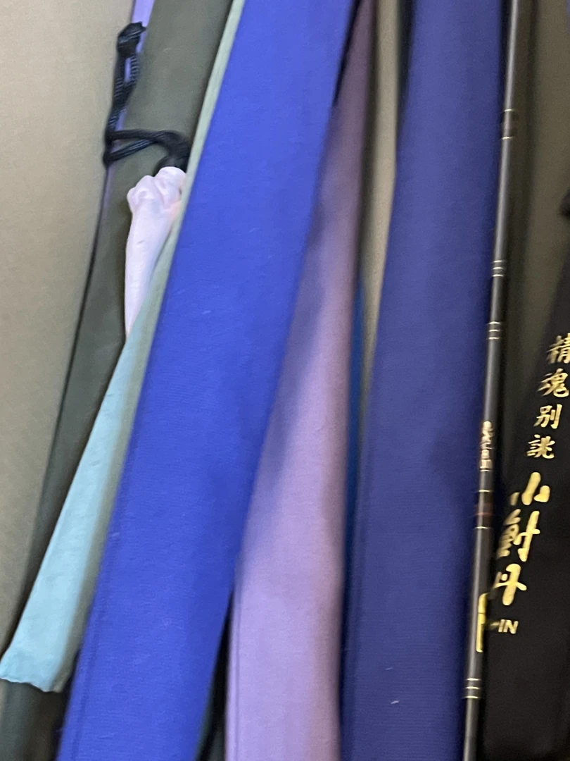 直播间主播讲述专用鲫鱼竿链接