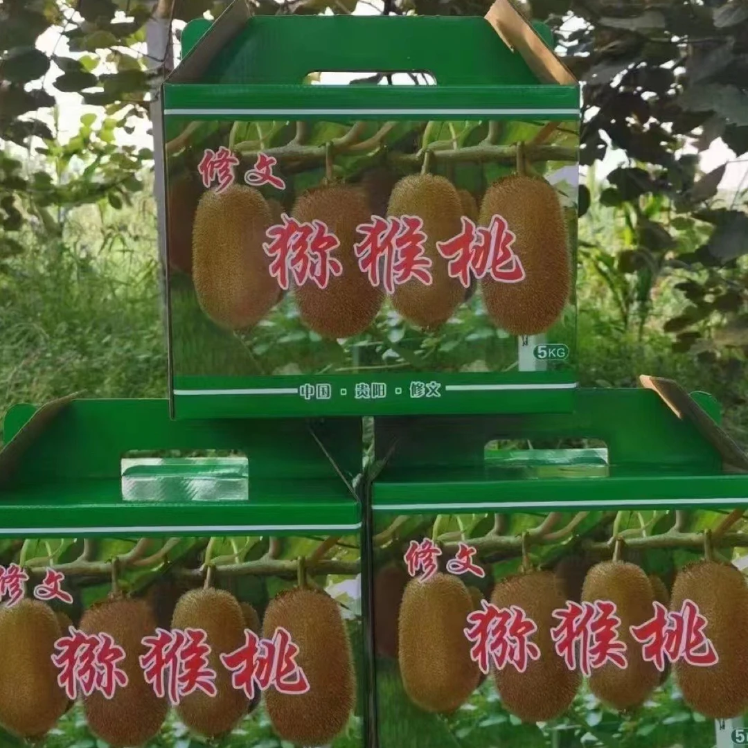 贵州贵长猕猴桃绿心猕猴桃小果35g～50g猕猴桃贵州修文猕猴桃