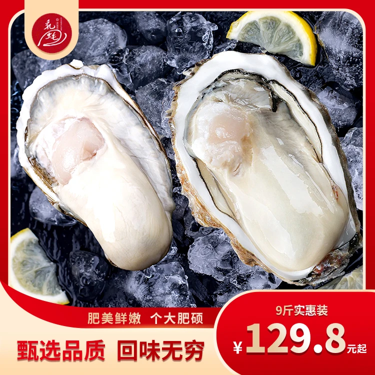 RUHAO/乳蚝【实惠9斤装】乳山新鲜牡蛎源产地山东冷水蚝夏日尝鲜