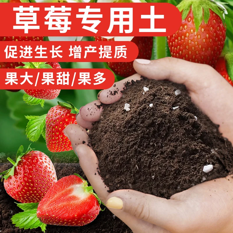 草莓土草莓苗专用种植营养土阳台室内有机健康透气保肥盆栽种植土