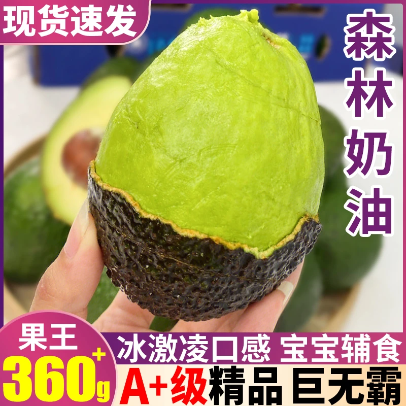 墨西哥牛油果酪梨大果新鲜水果孕妈妈宝宝辅食鳄梨整箱顺丰包邮