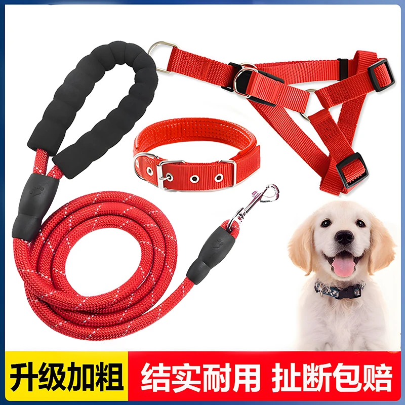 加长狗狗牵引绳狗绳狗项圈遛狗泰迪金毛宠物大型中型小型犬狗链子