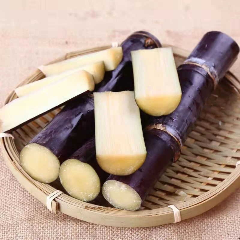 正宗广西黑皮甘蔗新鲜甘蔗脆甜新鲜甘蔗当季水果5斤9斤水果甘蔗