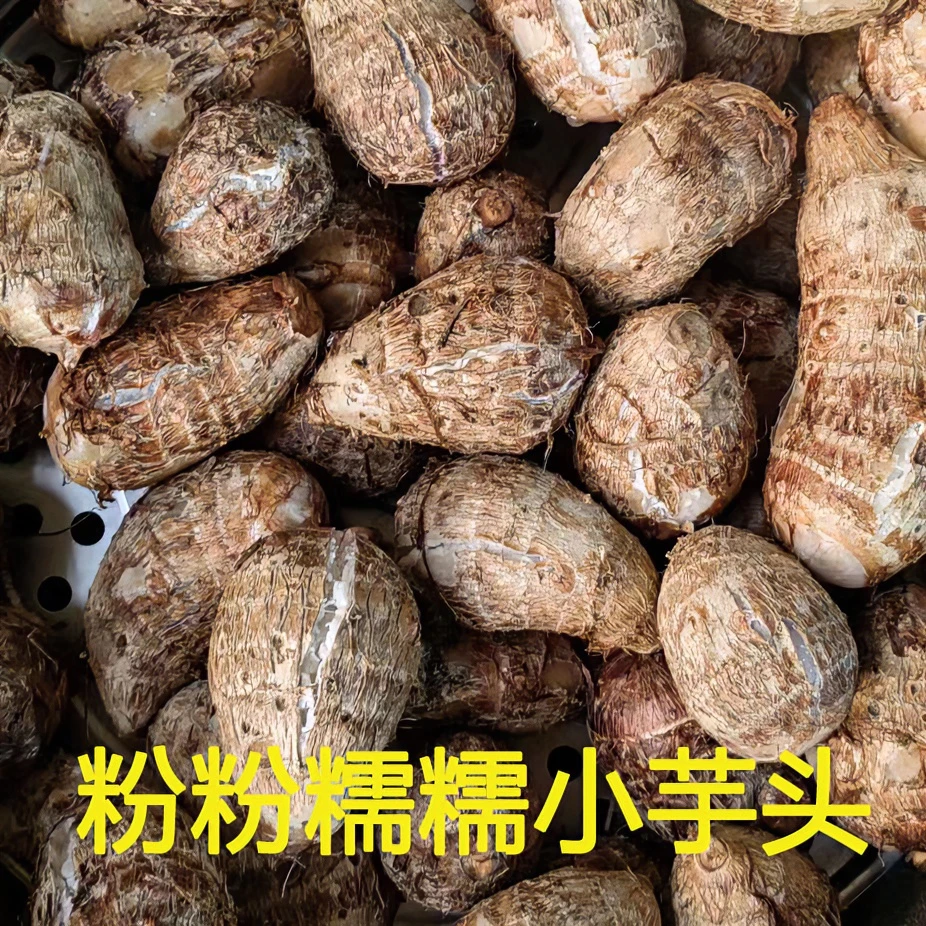 正宗广西红芽芋新鲜粉糯芋艿芋头毛芋头红芽小芋头红芽芋头1-5斤