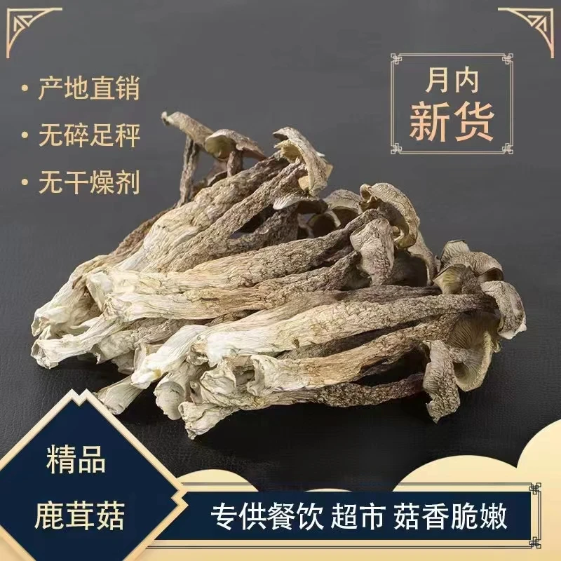 鹿茸菇（脆脆菇）精品！脆嫩爽口，餐饮超市专供款