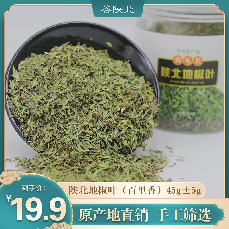 陕北特产 正宗地椒叶（百里香）炖羊肉调料去膻增香地椒叶±45g干净