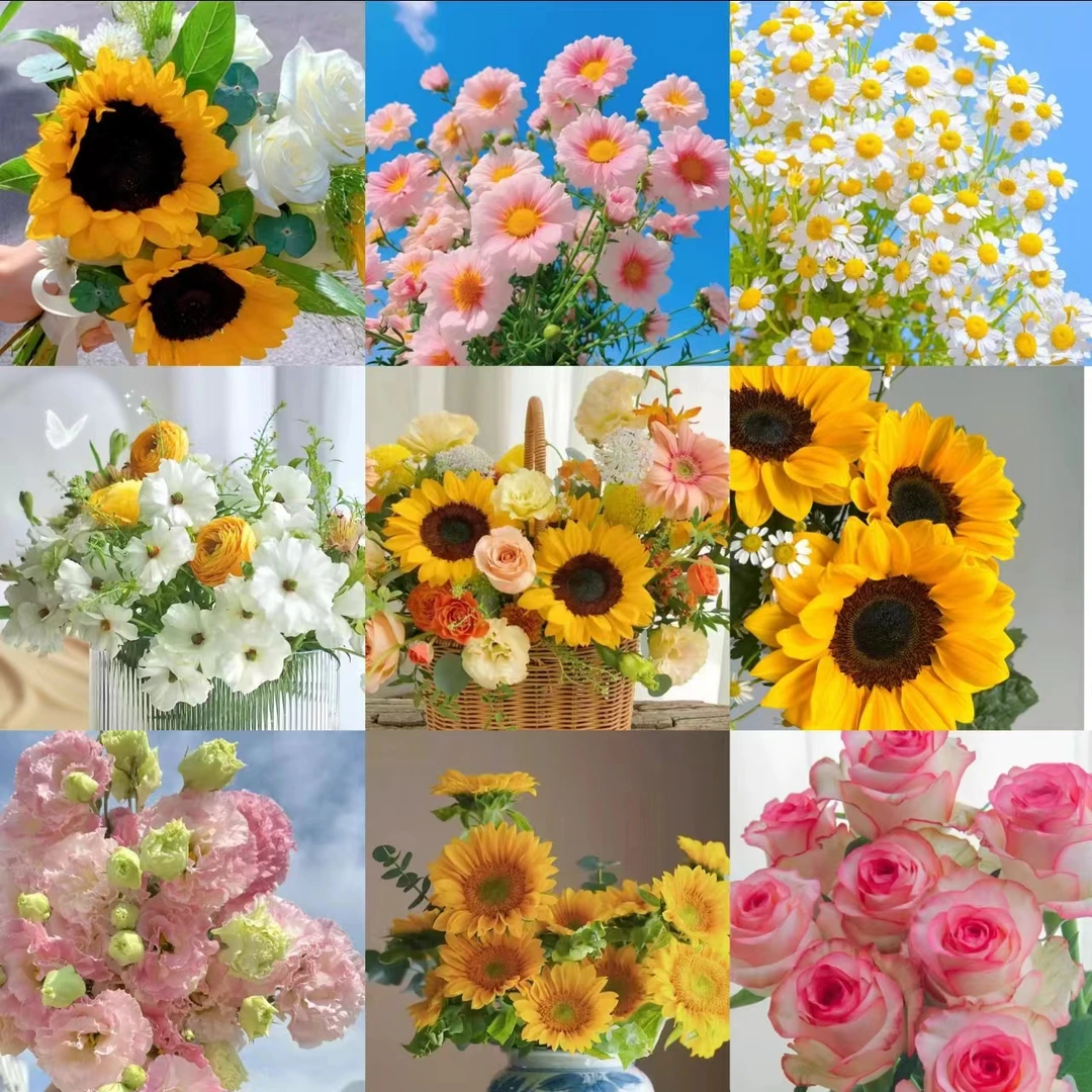 鲜花直播 （1）云南鲜花批发源头基地直发  一单包邮