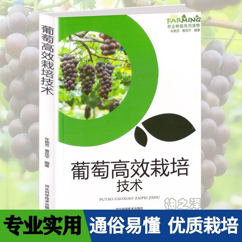 葡萄高效栽培技术 农业种植系列读物 车艳芳曹花平编河北科学技术