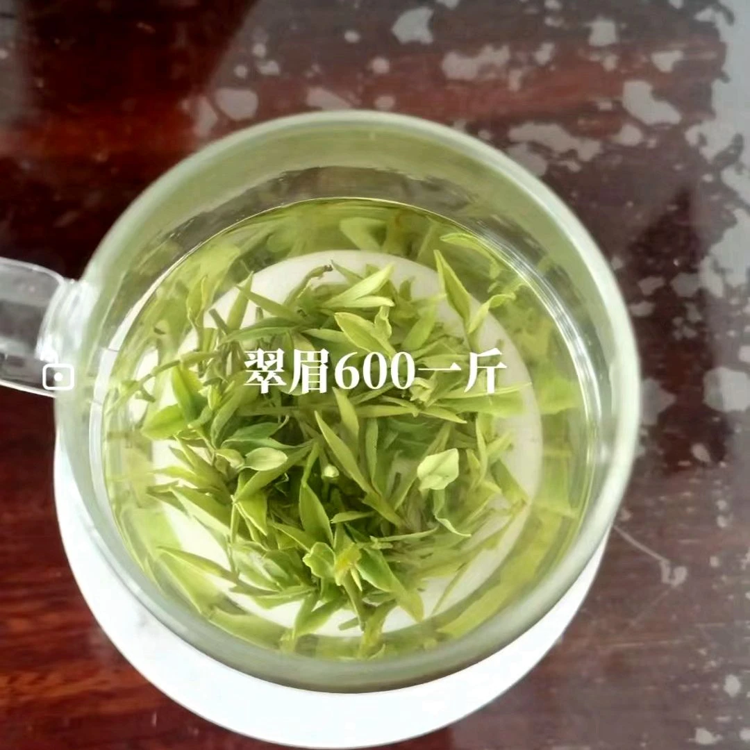 2025年新茶茅山翠眉250克明前春芽句容茶叶镇江特产茅山长青