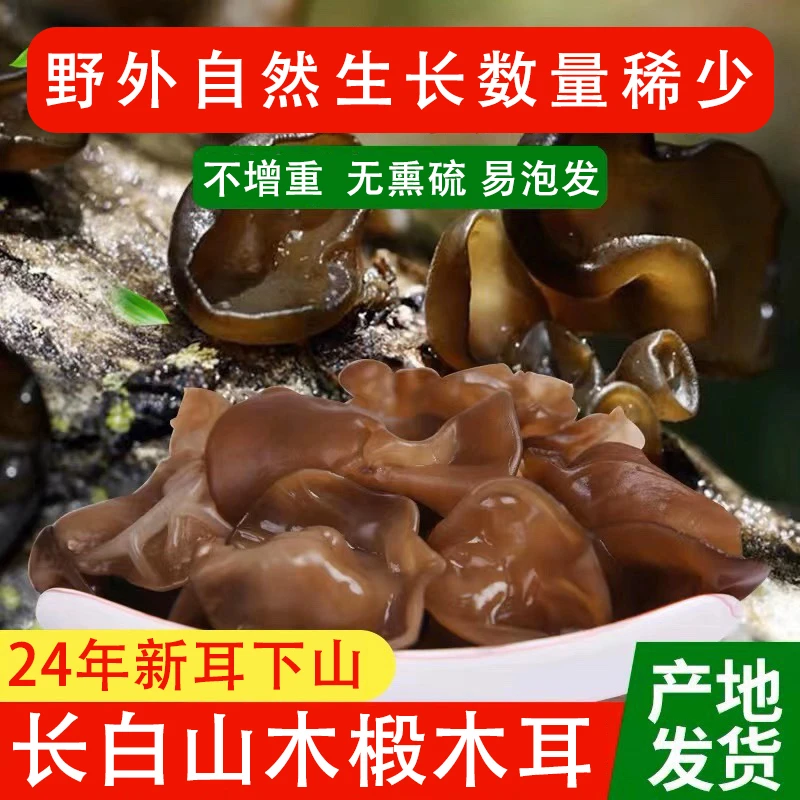 长白山柞木黑木耳 500克包邮 野外自然生长 软糯 Q弹 生产队