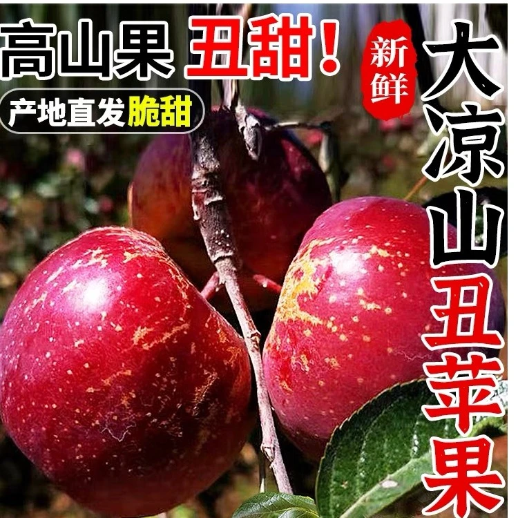 2023年正宗大凉山丑苹果冰糖心高海拔原生态种植现摘现发三斤五斤