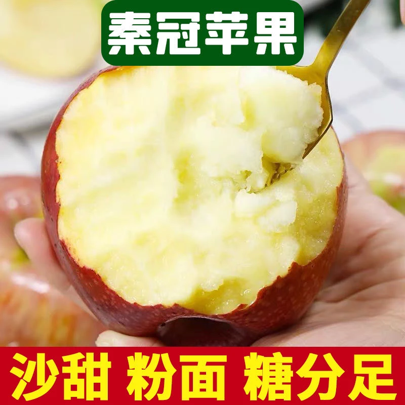 陕西正宗老树糖心秦冠粉面新鲜水果老人丑苹果宝宝辅食刮泥5/9斤