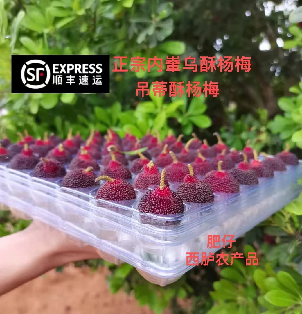 正宗西胪内輋乌酥杨梅2-5斤:支持发外省