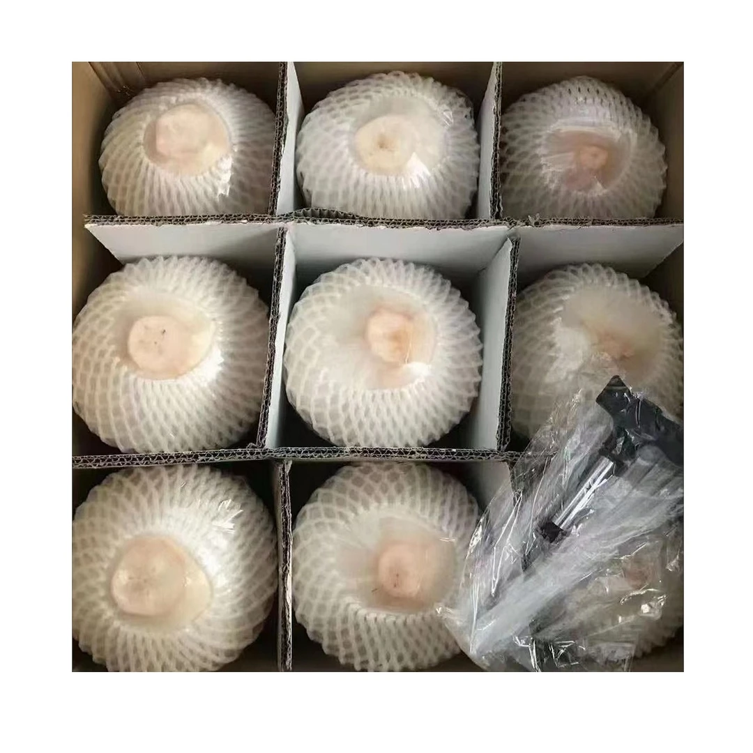 【送开椰器】海南精品椰青2/4/6/9个装现采摘新鲜文昌椰子孕妇鲜嫩