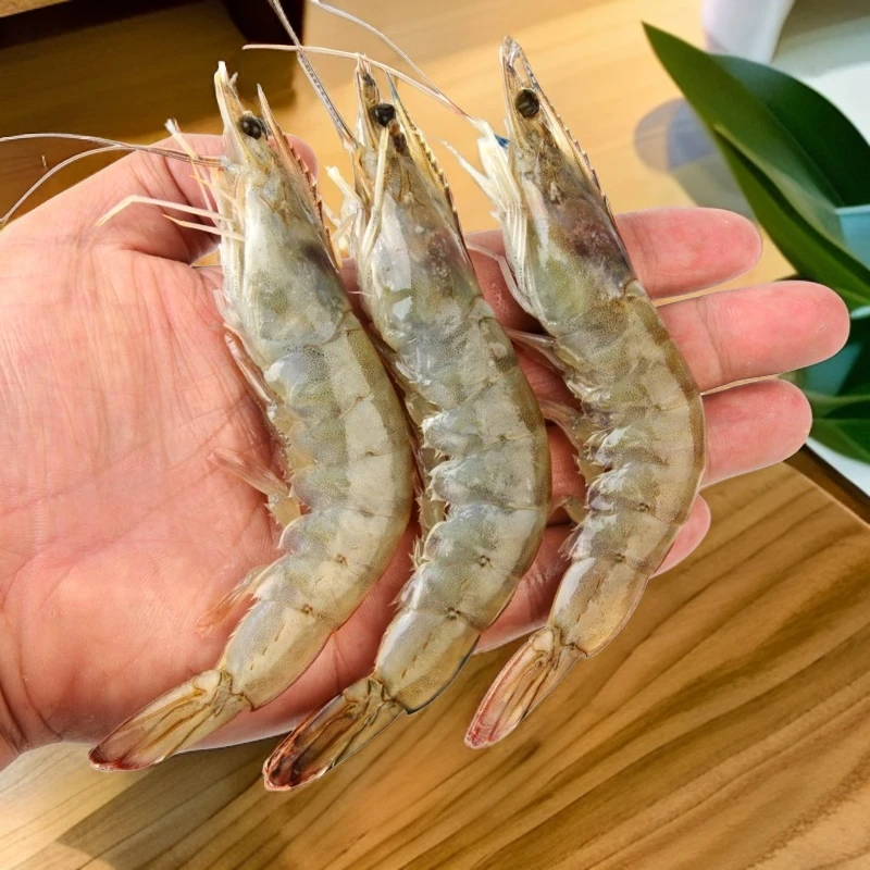 【精选】3040大虾 新鲜好吃活虾速冻单只锁鲜营养美味 净重3斤冷冻