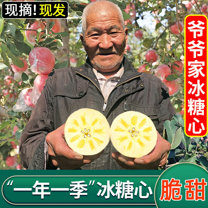 【御品一园】正宗山西冰糖心红富士苹果新鲜当季水果孕妇一整箱批发