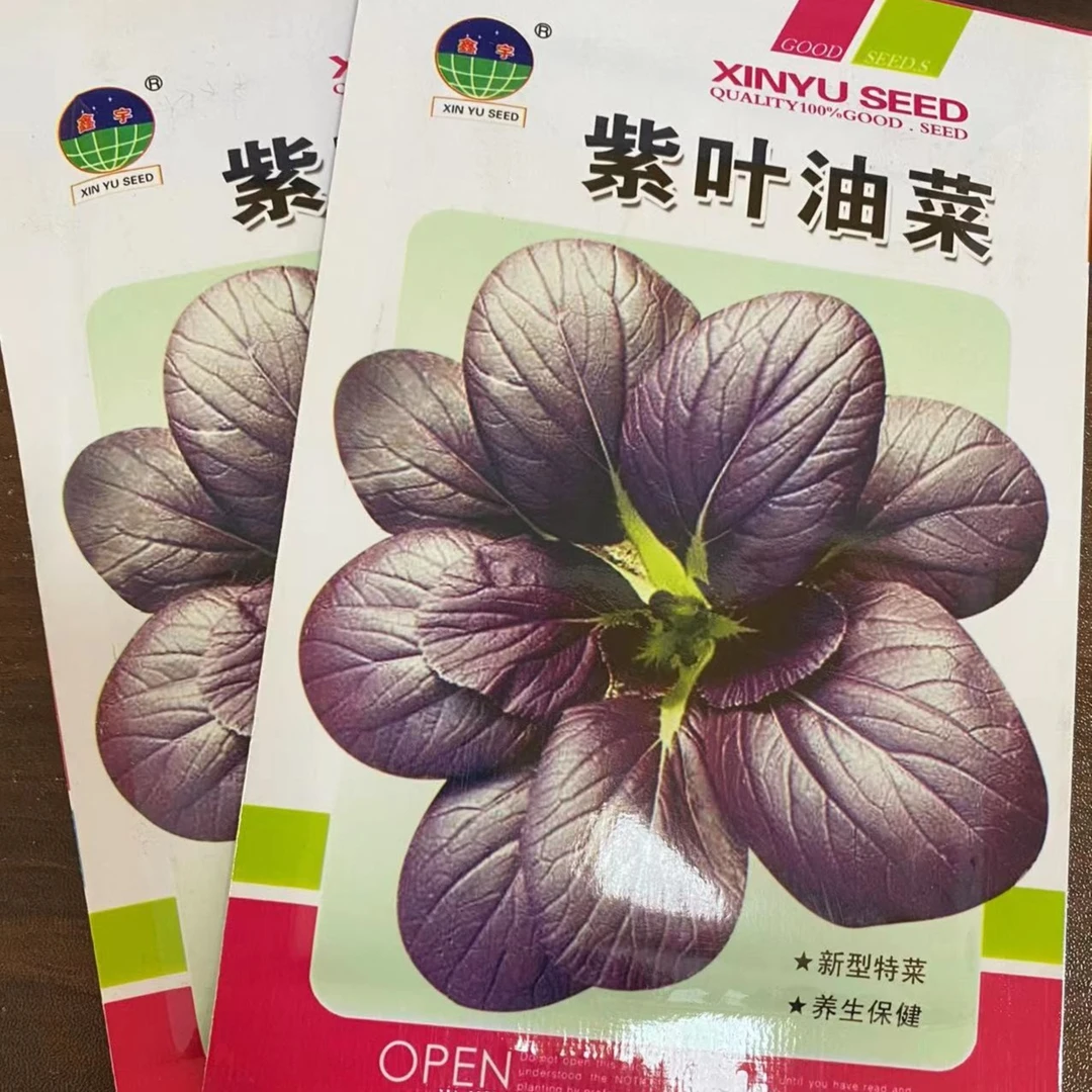 紫叶油菜种子&&&