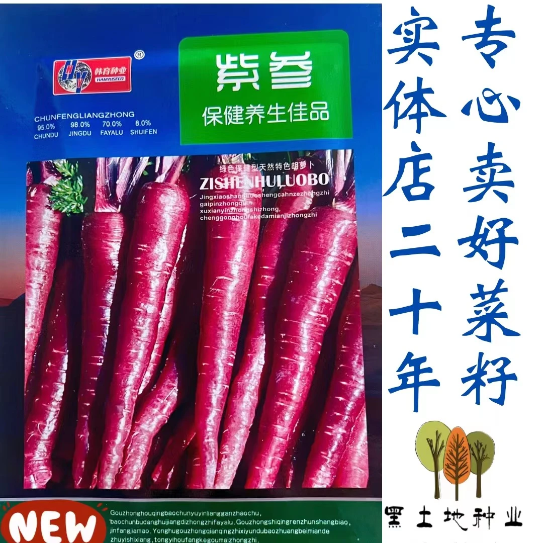 紫参胡萝卜种子（新老包装随机发货）