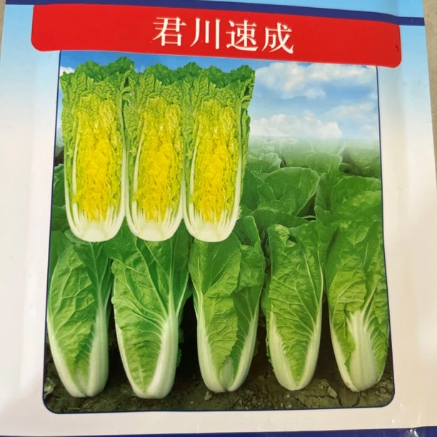 ⭐️君川速成白菜种子⭐️