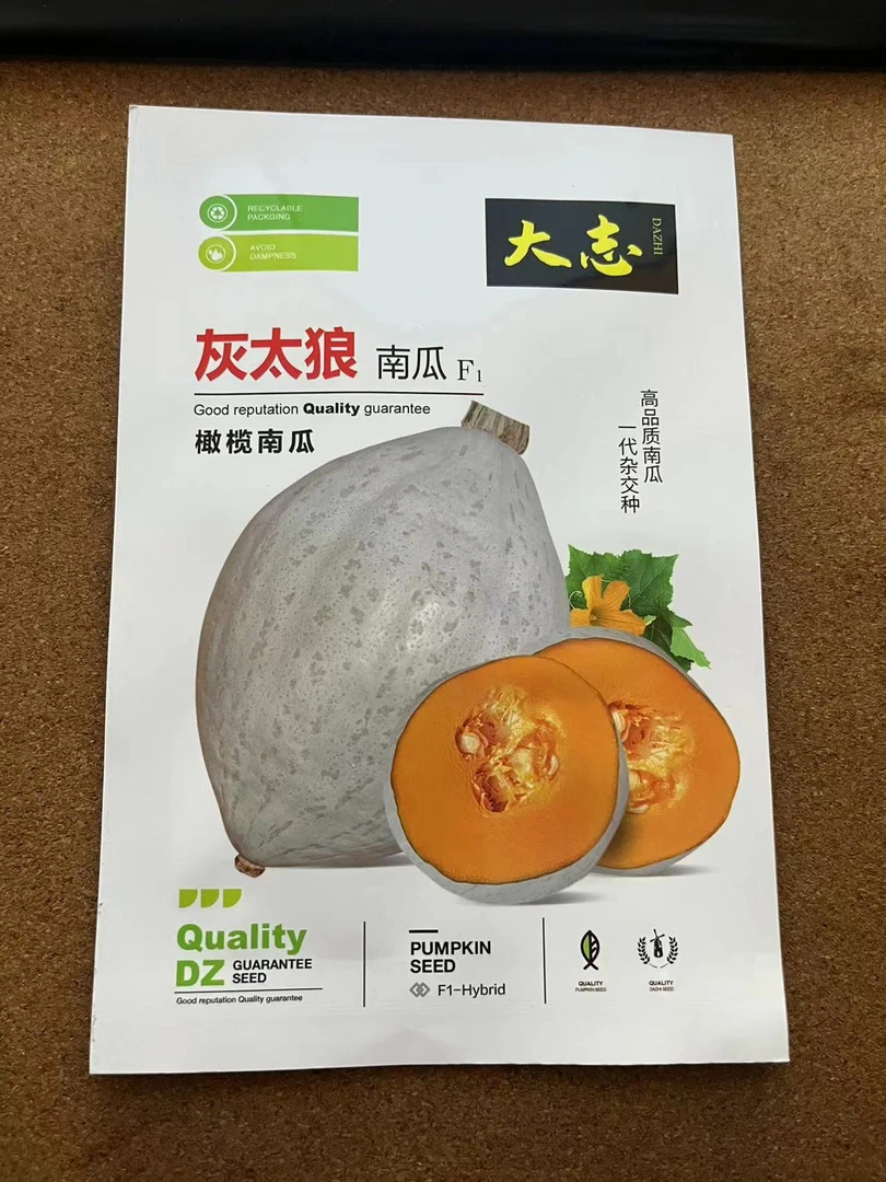 灰太狼南瓜种子&&