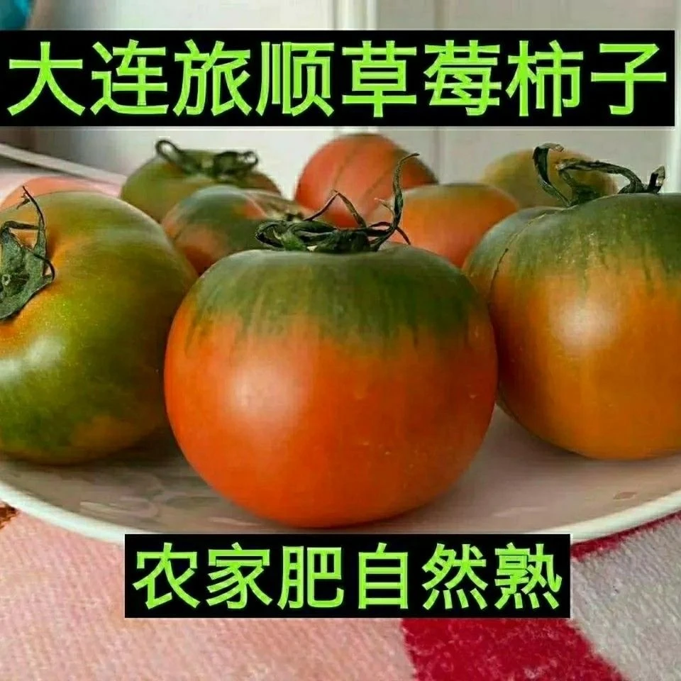 大连旅顺正宗铁皮柿子,碱地柿子,草莓柿子。
