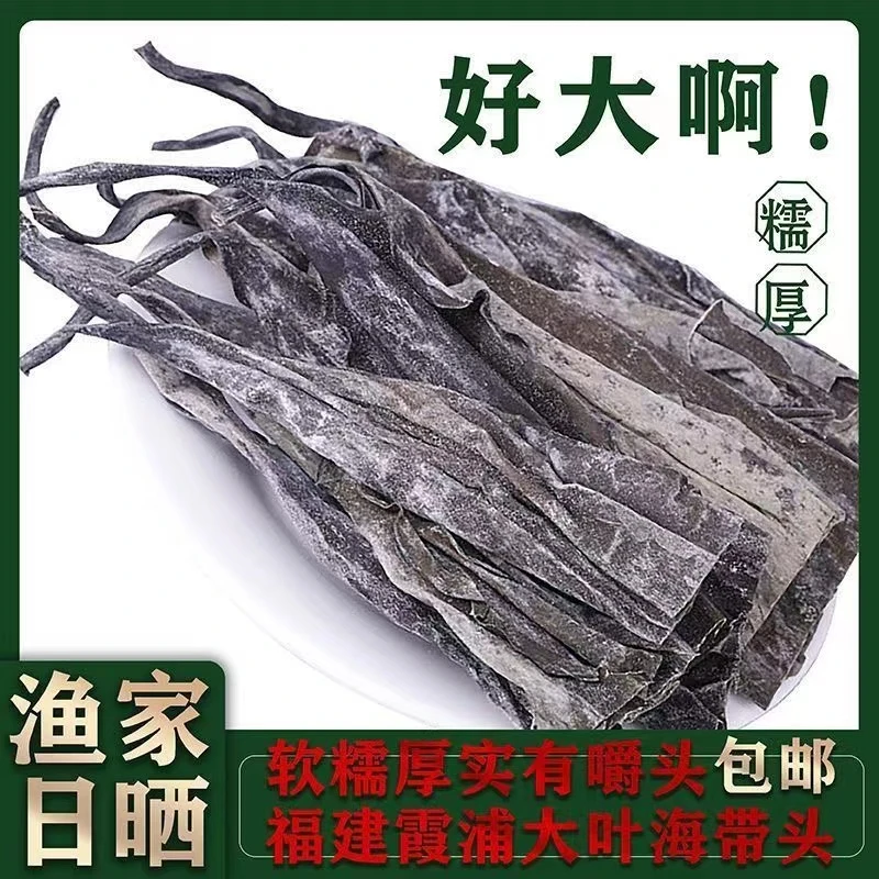 霞浦原产地新鲜手工日晒长海带头农产品厚实高泡发爽脆海带干货