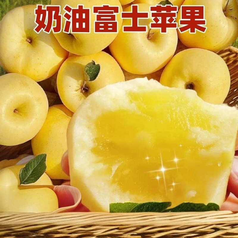 2024山东烟台正宗奶油苹果新鲜水果4.5斤酥脆富士苹果脆甜多汁