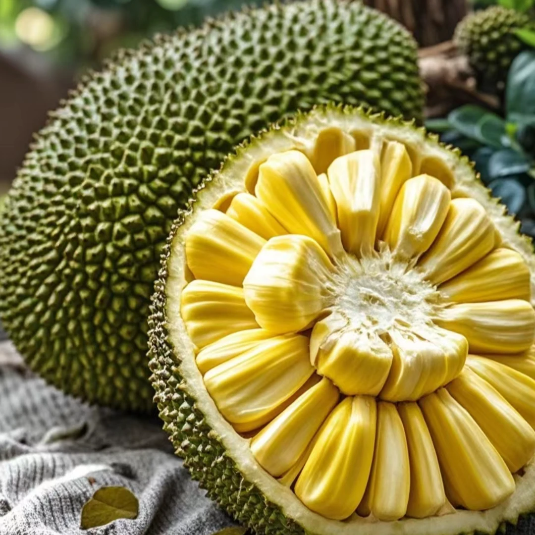 热带风情菠萝蜜 新鲜上市