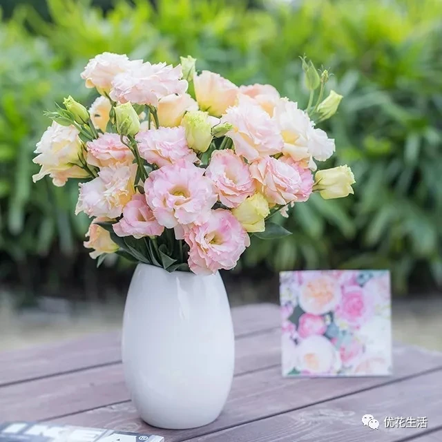 鲜切花香槟色洋桔梗花束鲜花