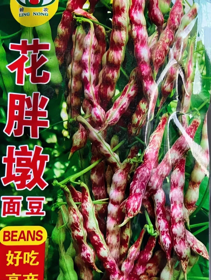 花胖墩北方红色生长播种面豆豆角籽优质细腻