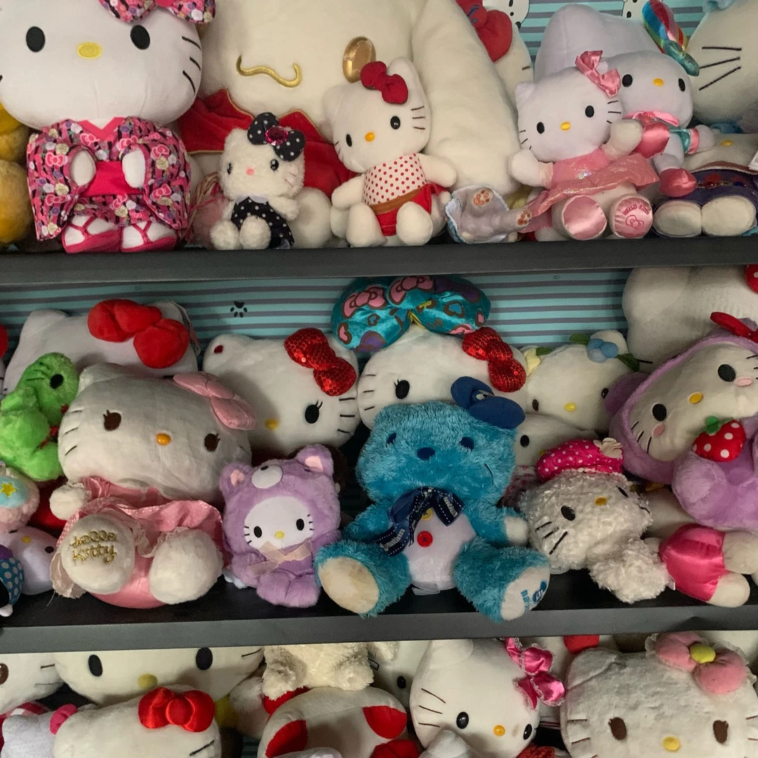 毛绒玩具多价格链接（拍对应链接哦）