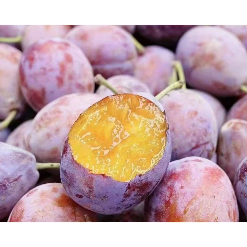 【1件】西梅，3斤净果，好吃没负担，肉厚核小