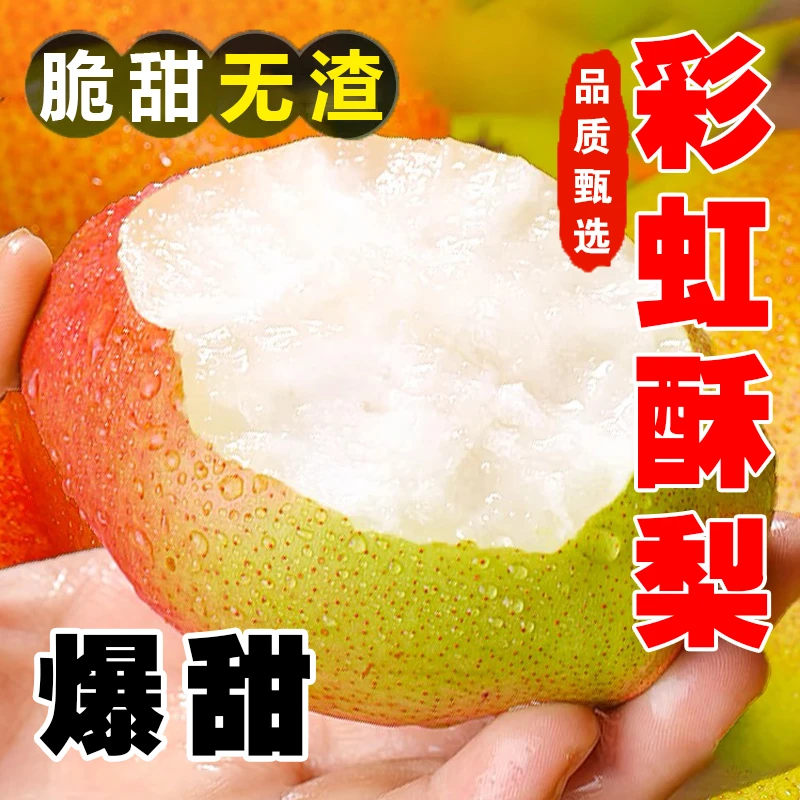 【现采现发】彩虹酥梨新鲜梨子当季水果红香酥梨5-9斤装新鲜采摘