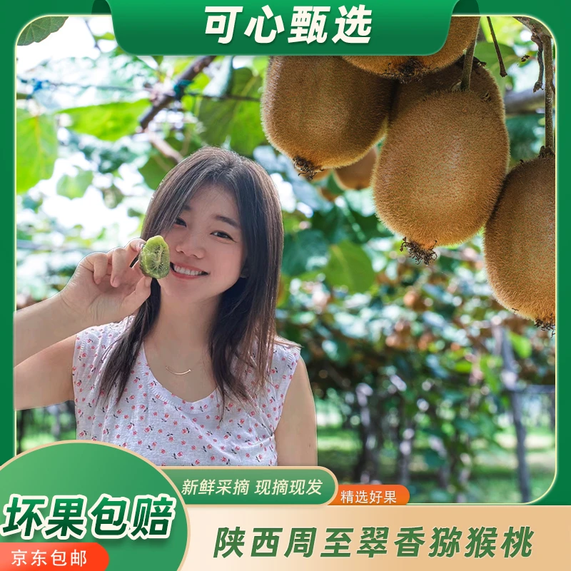 陕西周至翠香猕猴桃奇异果水果新鲜整箱京东包邮