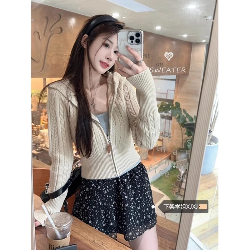 韩系麻花针织长袖毛衣开衫女秋季2024新款温柔风拉链显瘦连帽上衣
