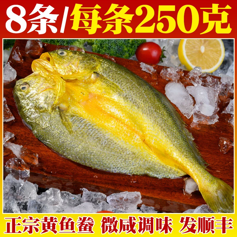【8条/每条250g】福建宁德黄鱼鲞正宗黄花鱼大黄鱼腌制去鳞非半干货