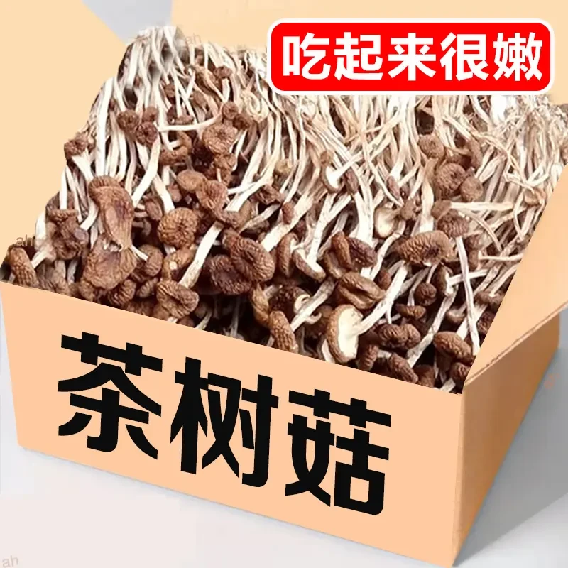 农家茶树菇干货2023新鲜不开伞茶树菇香菇蘑菇老鸭排骨汤营养炖汤