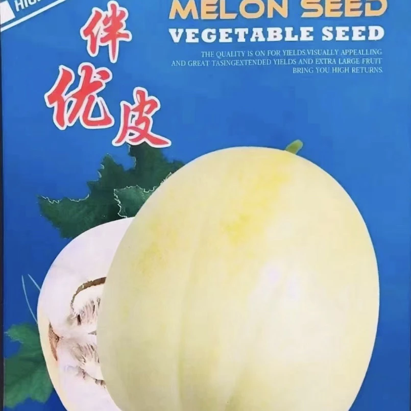 <伴优皮>甜香瓜种子（500粒/袋）高产.抗病.耐储运