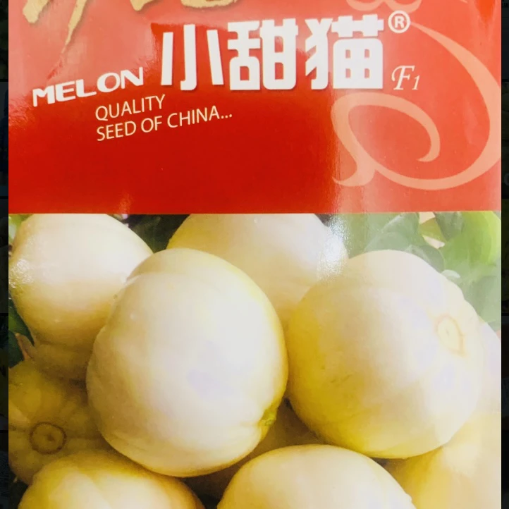 <小甜猫>甜香瓜种子（500粒/袋）让你吃出小时候的味道！