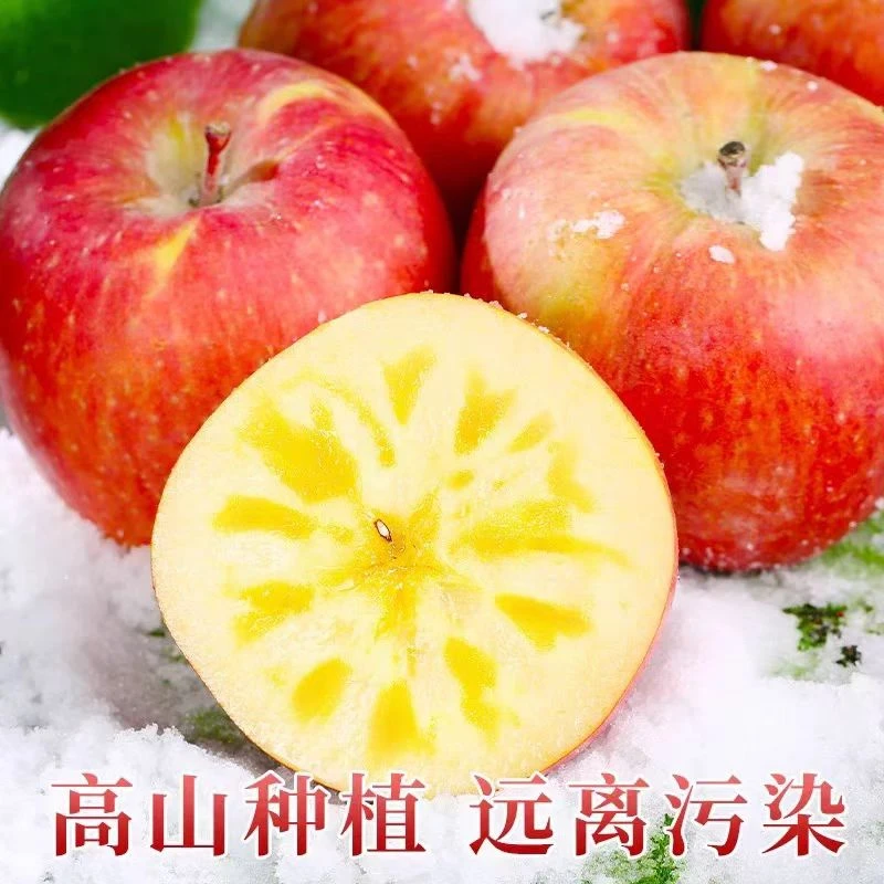 新疆阿克苏苹果【大果5斤装】