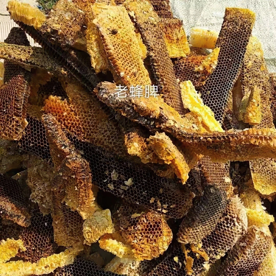 中蜂老巢脾 蜜蜂诱蜂神器 可融化煮腊