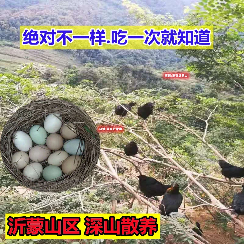 沂蒙山鸡蛋新鲜土鸡蛋农家正宗散养柴鸡蛋笨鸡蛋月子本大30枚批发
