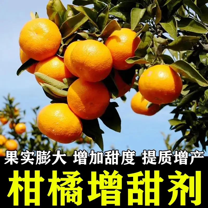 柑桔专用催熟剂催熟保鲜家用柑桔橘子芒果番茄柿子水果催熟剂