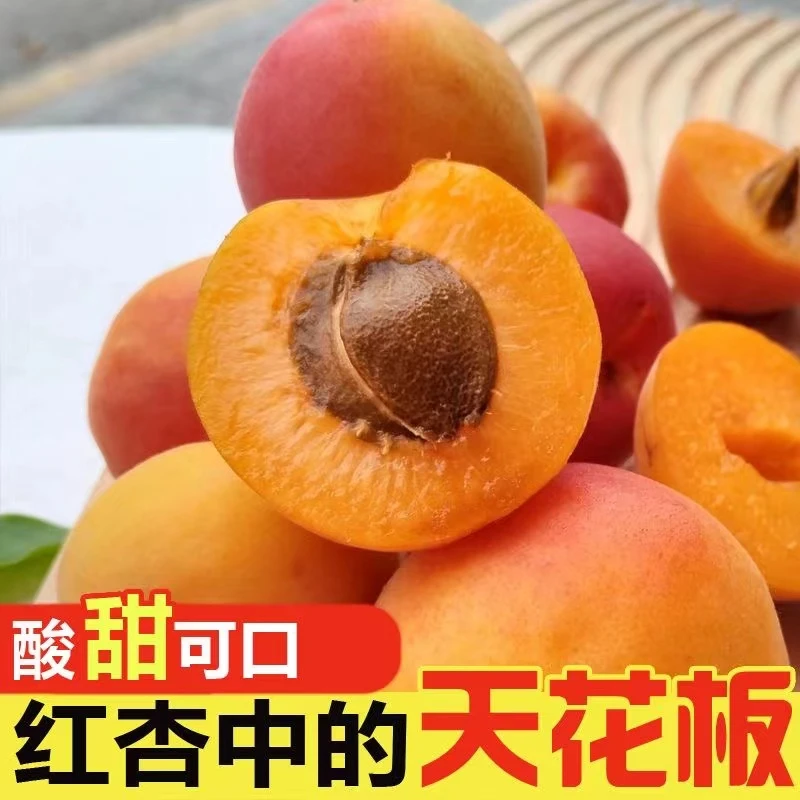 粉黛烟雨陕西胭脂杏 4/2斤杏子新鲜水果贵妃红杏梅杏当季甜杏香甜